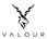 Valour Store - Home